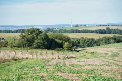Hochlandlauf-2025-1-von-1099