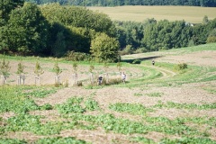 Hochlandlauf-2025-2-von-1099