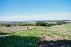 Hochlandlauf-2025-22-von-1099