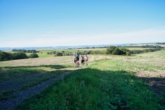 Hochlandlauf-2025-243-von-1099