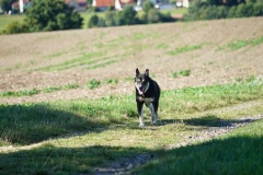 Hochlandlauf-2025-247-von-1099