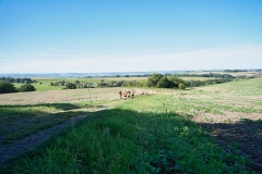 Hochlandlauf-2025-251-von-1099