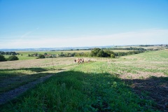 Hochlandlauf-2025-252-von-1099