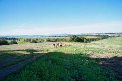 Hochlandlauf-2025-260-von-1099
