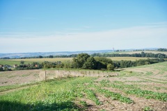 Hochlandlauf-2025-262-von-1099