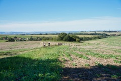 Hochlandlauf-2025-271-von-1099