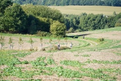 Hochlandlauf-2025-3-von-1099