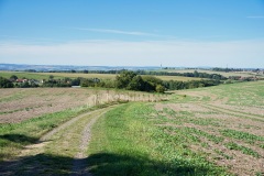 Hochlandlauf-2025-321-von-1099