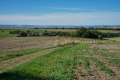 Hochlandlauf-2025-326-von-1099