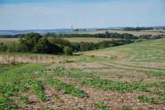 Hochlandlauf-2025-327-von-1099