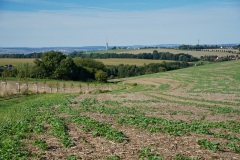 Hochlandlauf-2025-329-von-1099