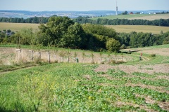Hochlandlauf-2025-331-von-1099