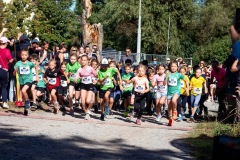 Hochlandlauf-2025-Start-Ziel-100-von-630