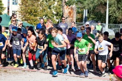 Hochlandlauf-2025-Start-Ziel-174-von-630