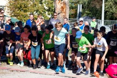Hochlandlauf-2025-Start-Ziel-175-von-630